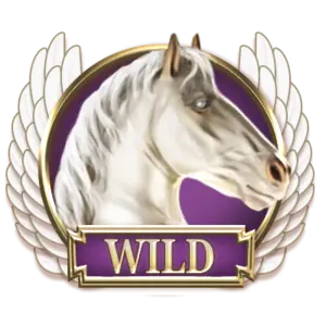 Wild symbol
